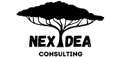 Nexidea Consulting